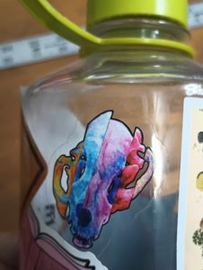 Sticker on water bottle (clear backed)