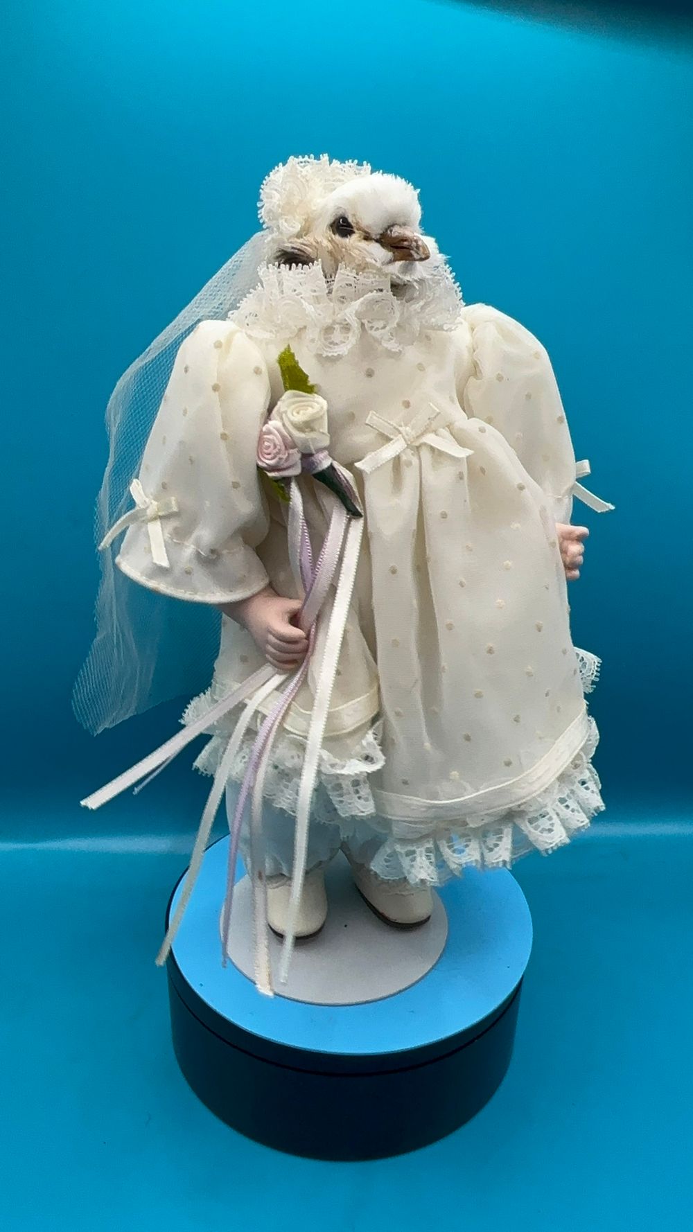 Bella Bride Taxidermy Dove Head Doll 