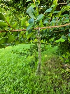 Green Spiral 