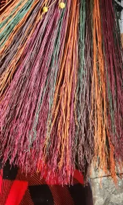 A close-up of the bristles