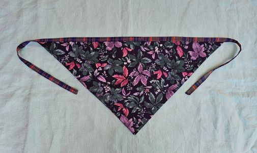 Bandana 4
