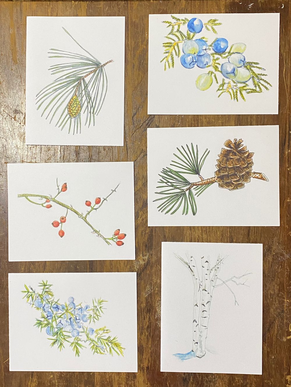 Holiday Card Set - 6 pack
