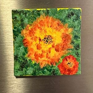 orange zinnias