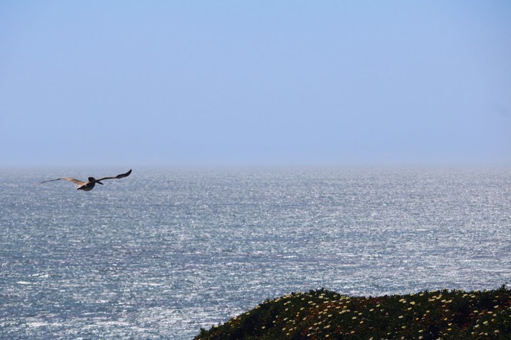 "Where Sky Meets Shore" Photo Print