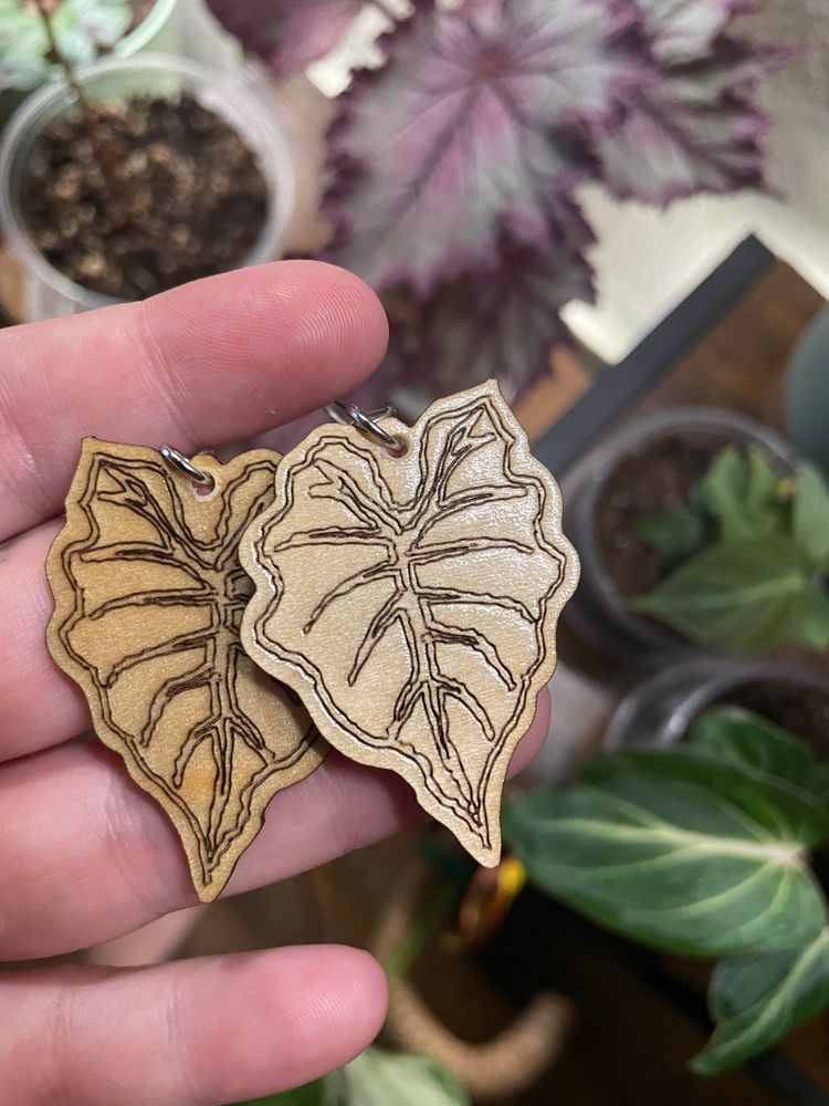 An image of a pair of natural wood earrings with a laser engraved alocasia-leaf design. A hand is seen holding the earrings out in front of a background of plants.