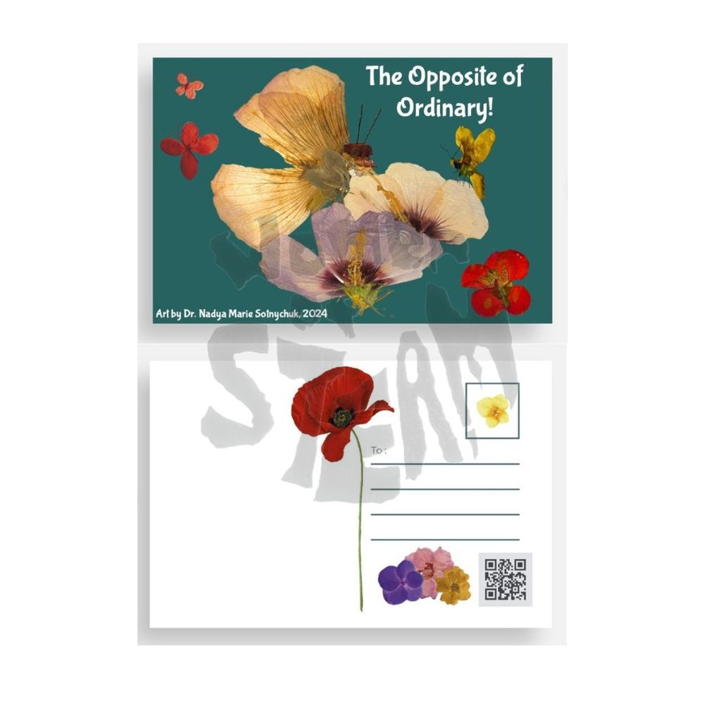 Pollinator Pressed Flower Postcard