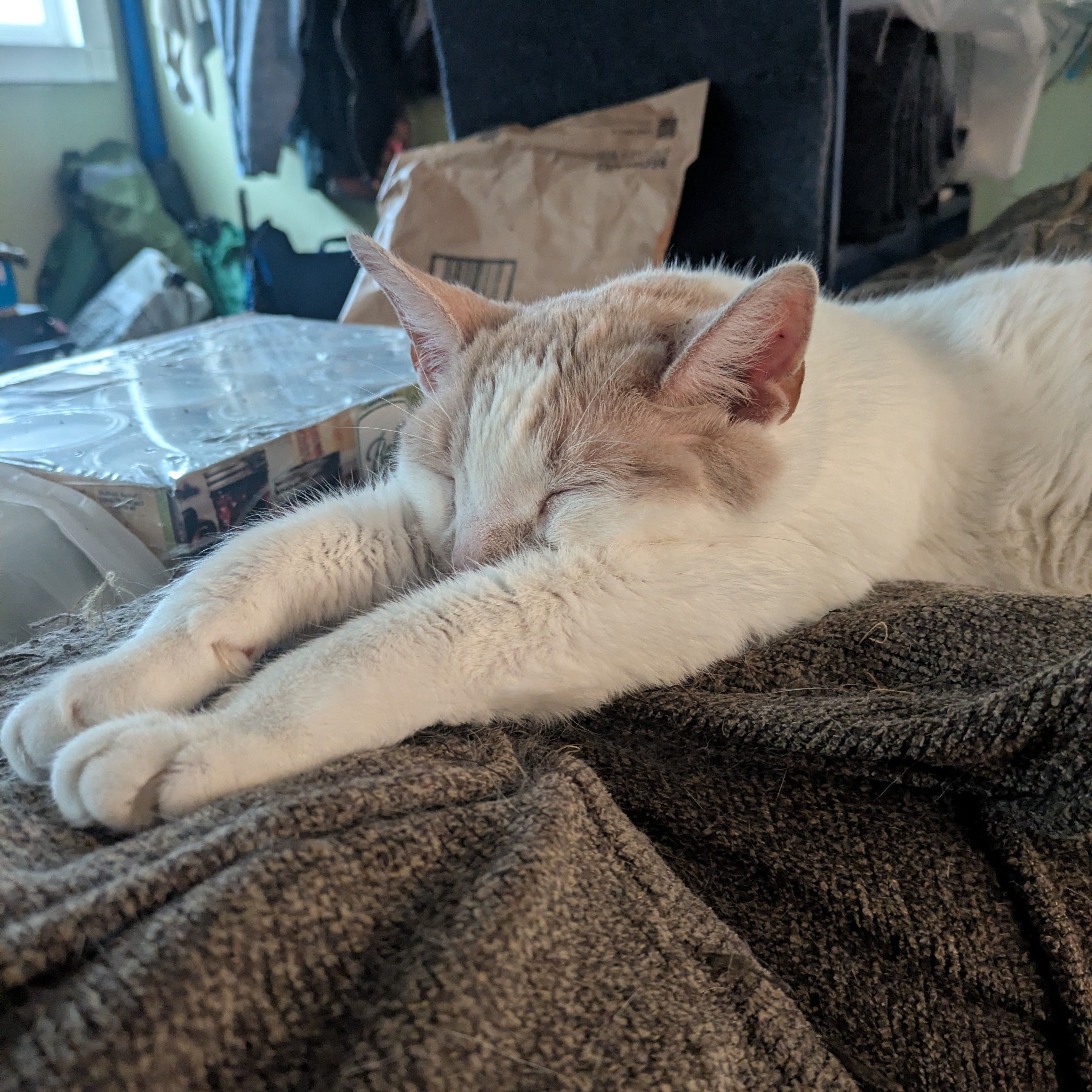 Monday Update - November 3rd, 2025