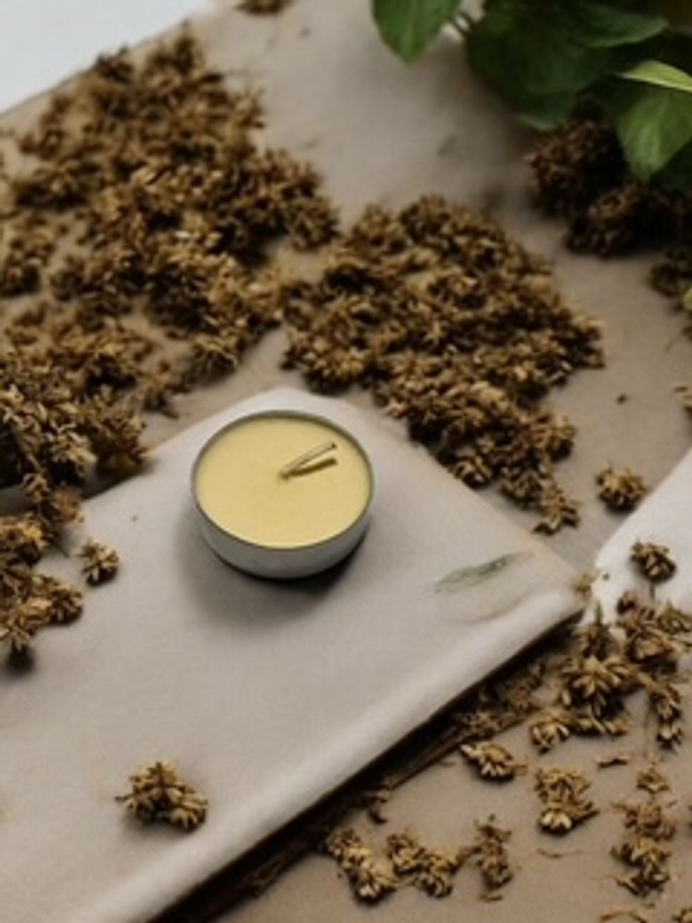 Sandalwood 1oz. Candle