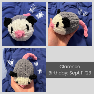 A collage of images of Clarence the fuzzy mini opossum. His birthday is September 11 2023.