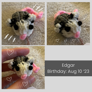 Collage of images of Edgar the baby opossum. He has white-tipped ears and a curly pink tail. His birthday is August 10, 2023.