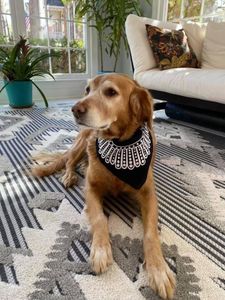 Dissent Bandana