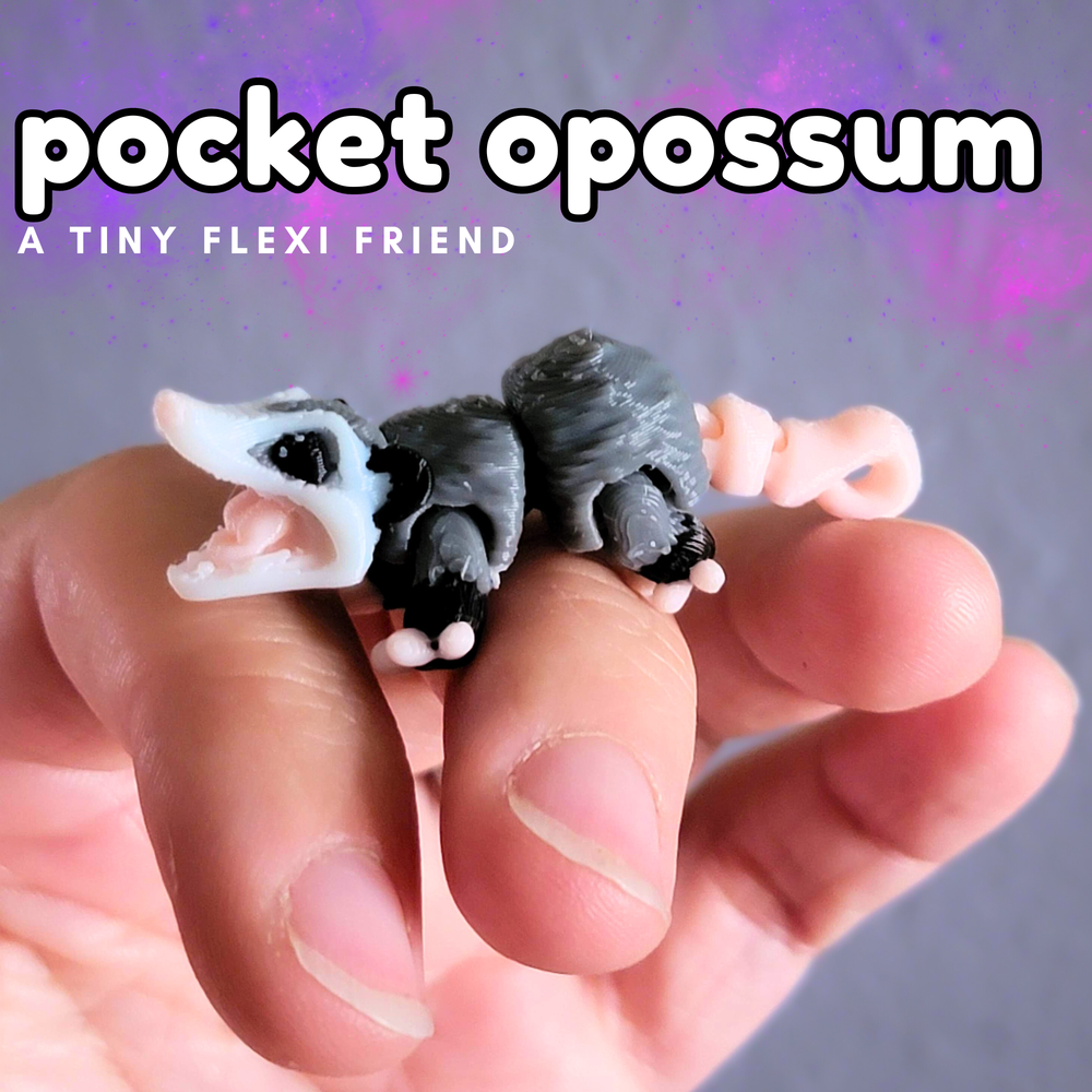 Pocket Opossum