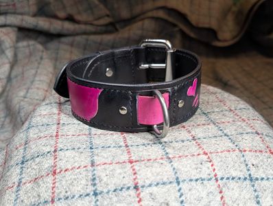 1.5" dyed collar with custom tooling and dye pattern. $130