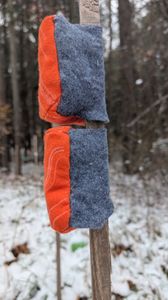 Skin side of the salmon