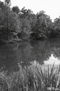 I just loved the reflection of the trees, honestly