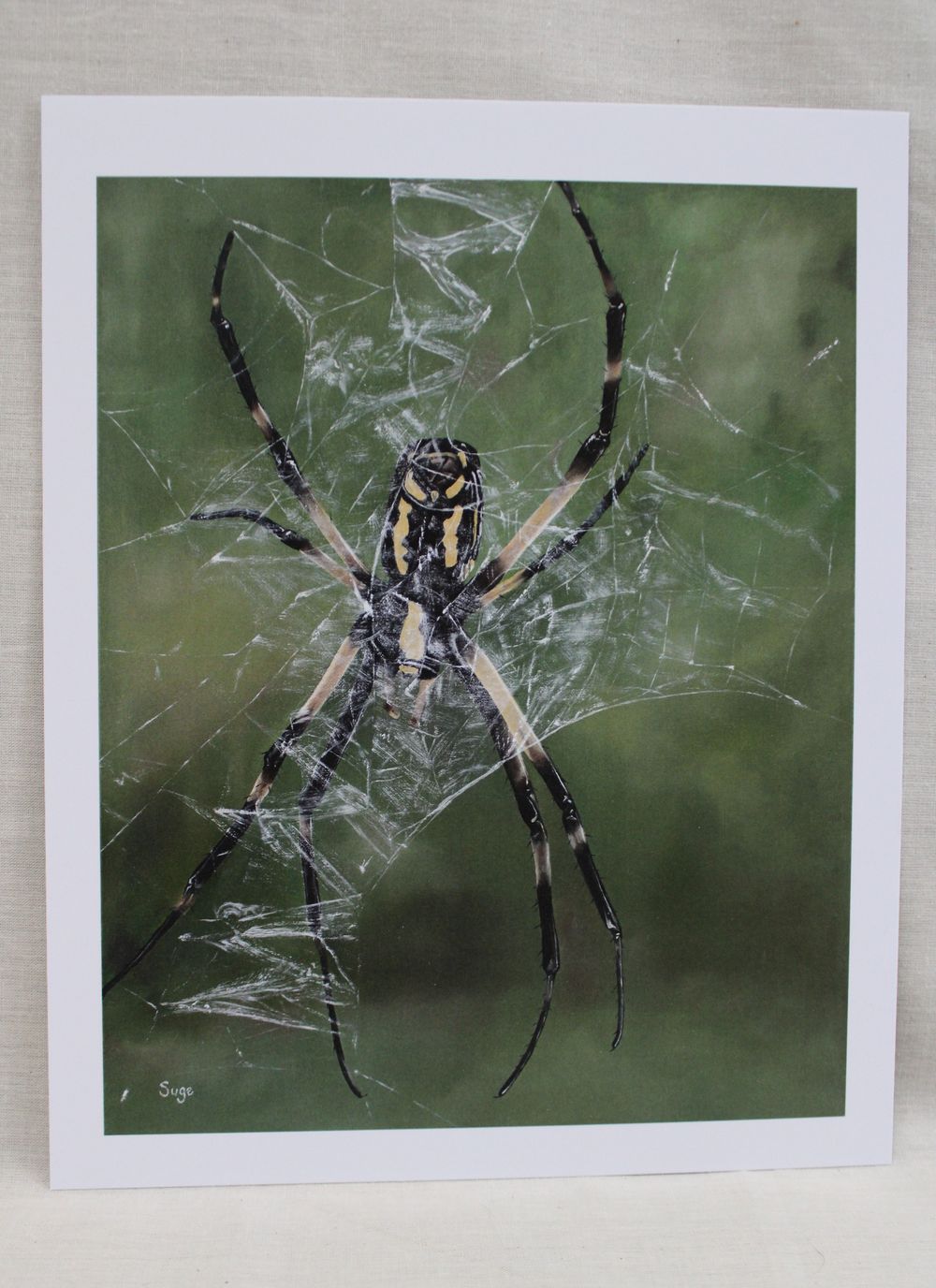 Spider Print