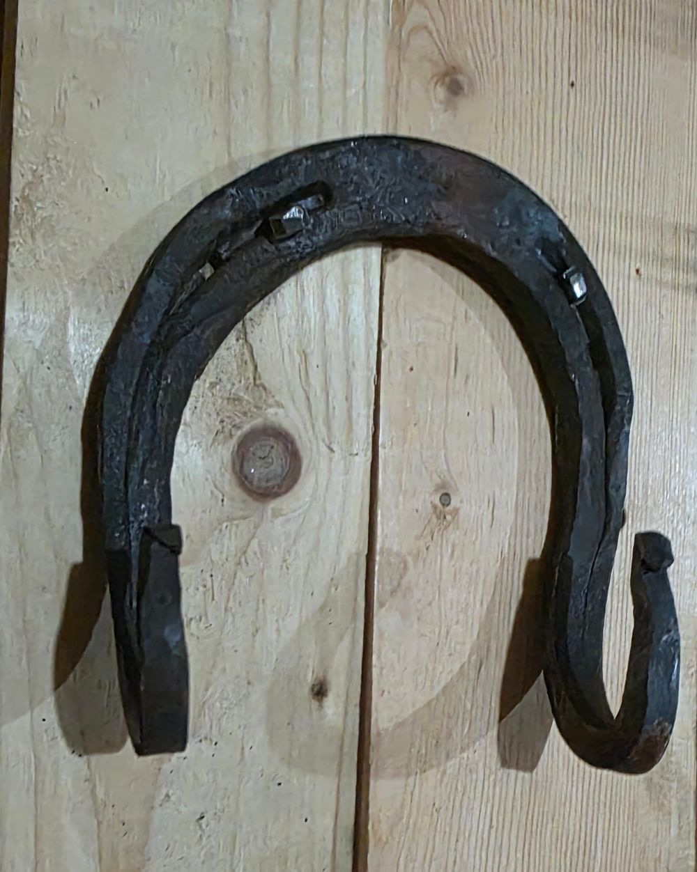 Horseshoe double coat hook