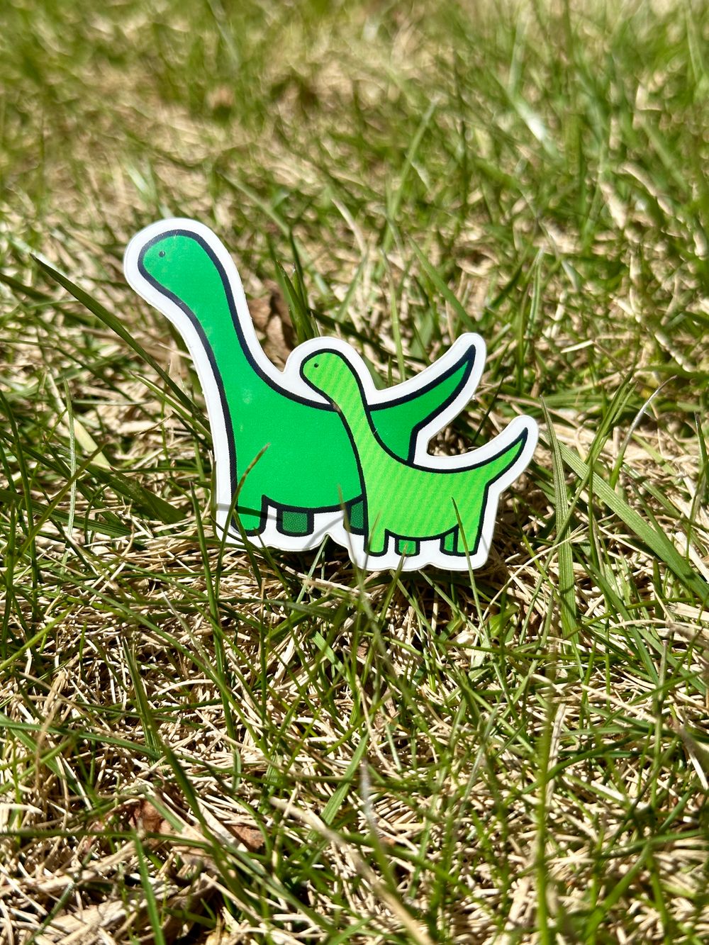 Dino Duo