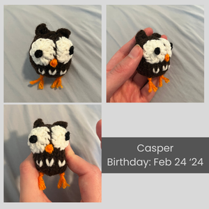A collage of images of Casper the owl. He is brown, with big white circles around his eyes, an orange beak and feet, and a few white feathers on his tummy. In one of the images, I am squishing him. His birthday is February 24 2024.