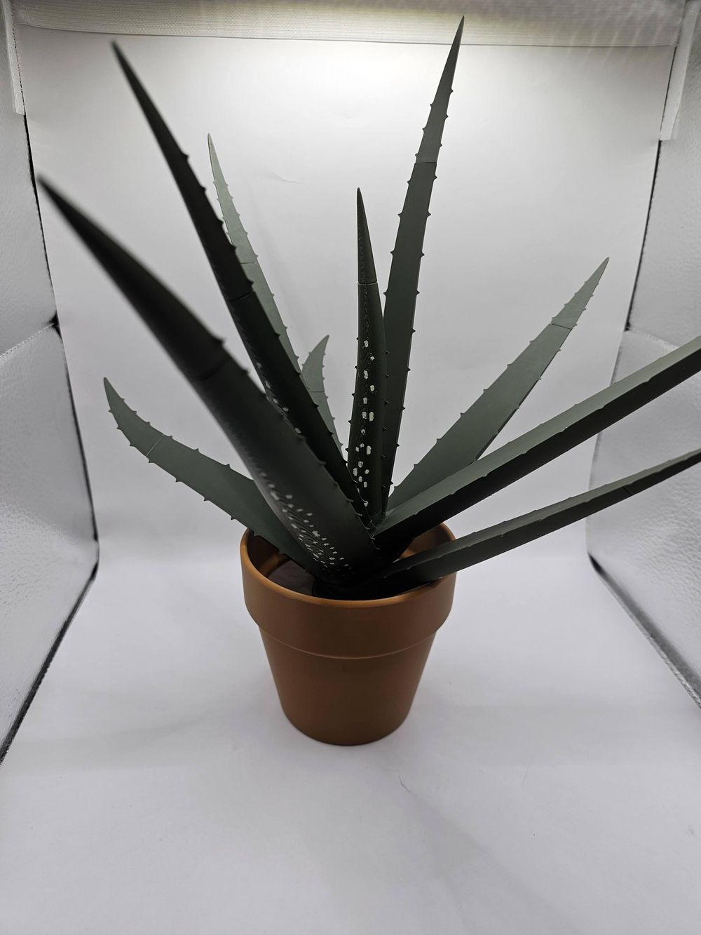 Aloe Vera Plant with Ballpoint Pens