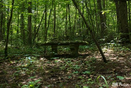 A concrete bench in one of my favorite places in the world
