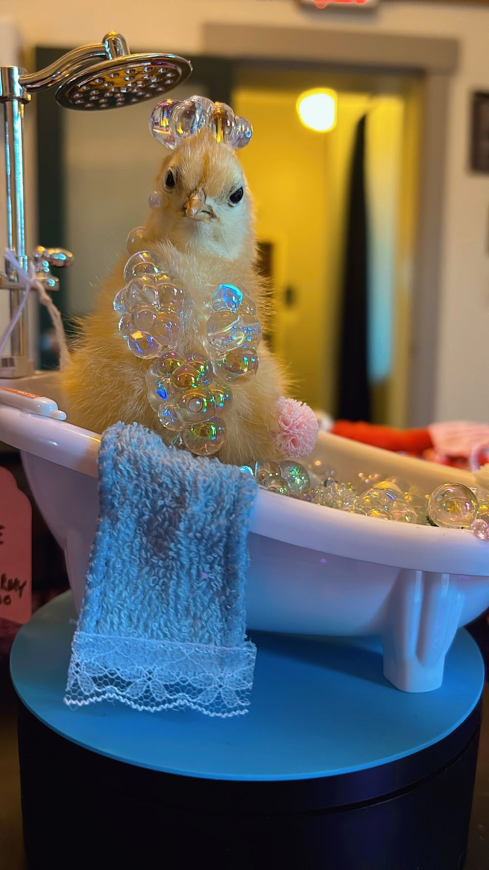 Bath time Chick🛁 