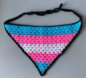 Transgender Pride Bandana
