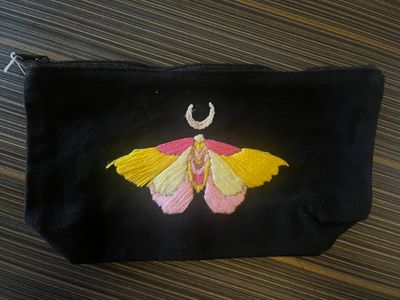 Option 4 -  moth