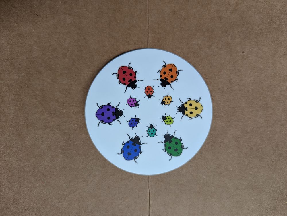 Rainbow Ladybug sticker