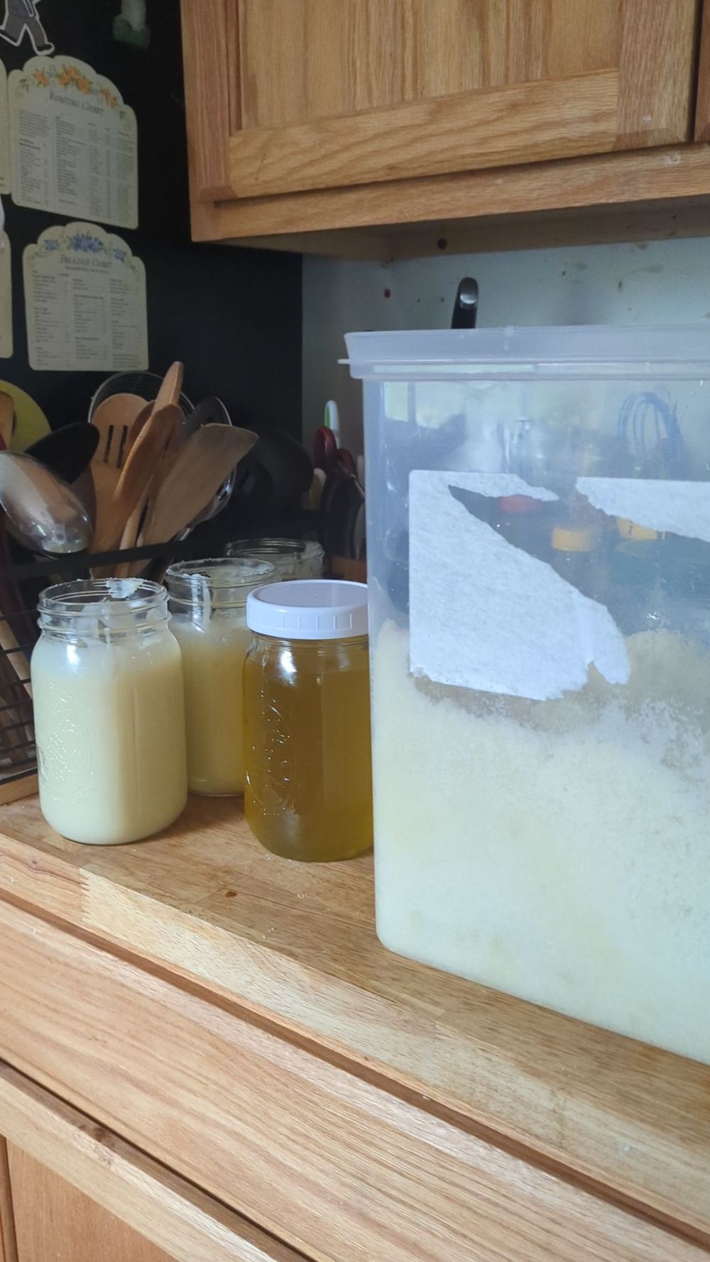 Lemon balm sugar scrub farm pick up 