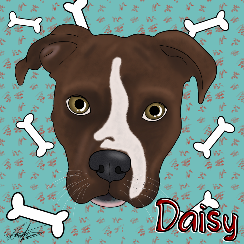 Pet portraits!!!