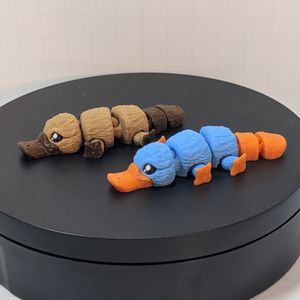 A light brown platypus with darker brown bill and feet, next to a blue platypus with orange bill and feet. They are laying with their legs spread out to the side.