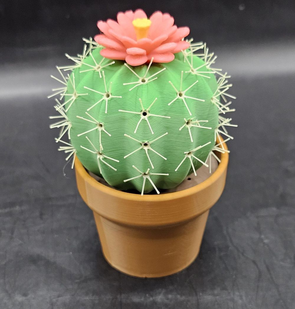 Prickly Pair  Cactus Shaker Set