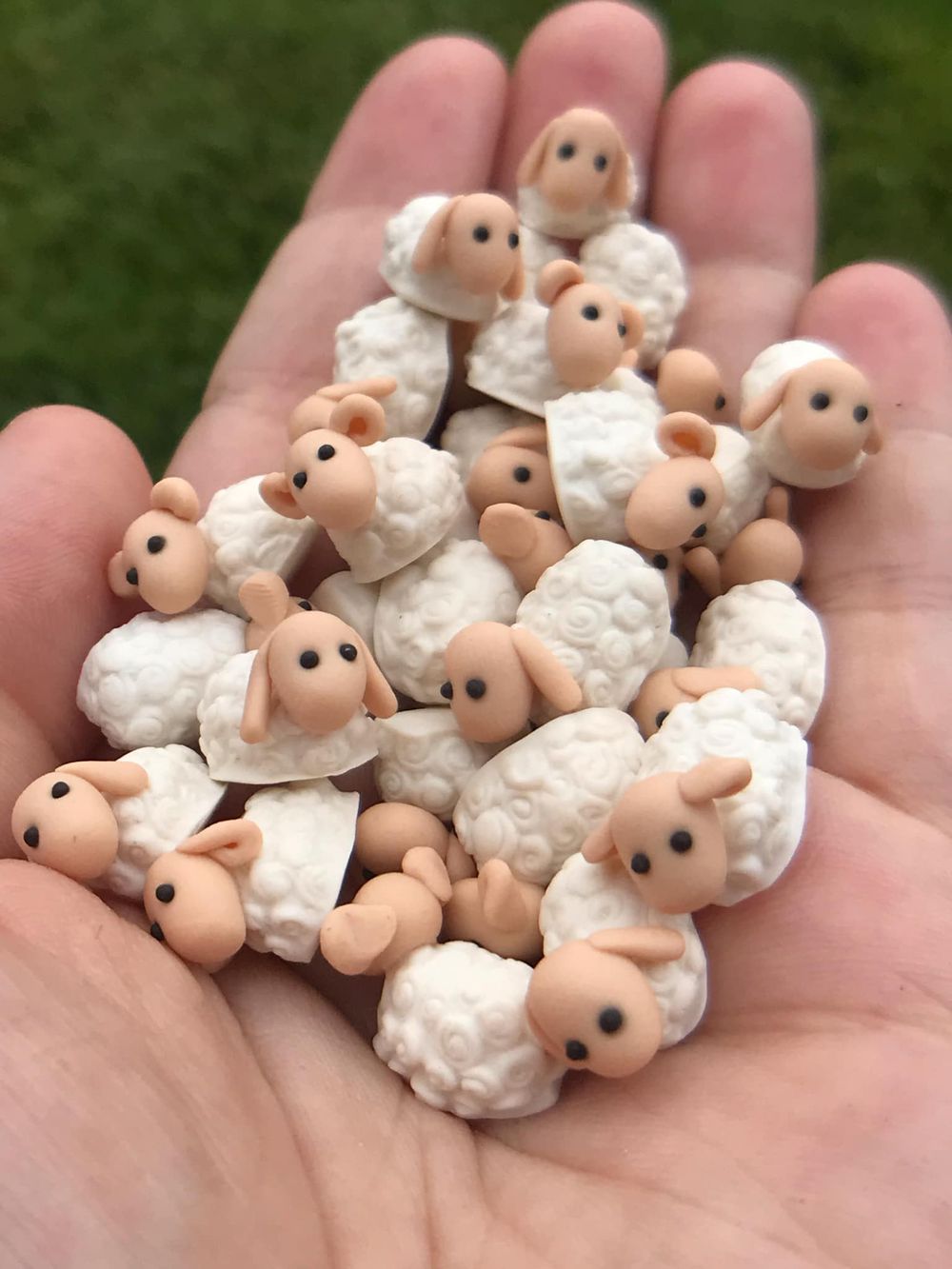 Curly Sheep Resource Tokens