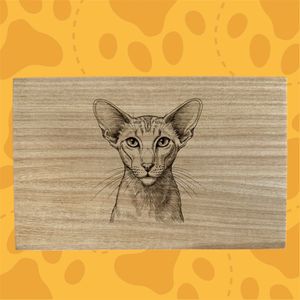 images Traced, converted to black and white, find edge filter, poster edges layered on photoshop