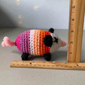 Opossum size