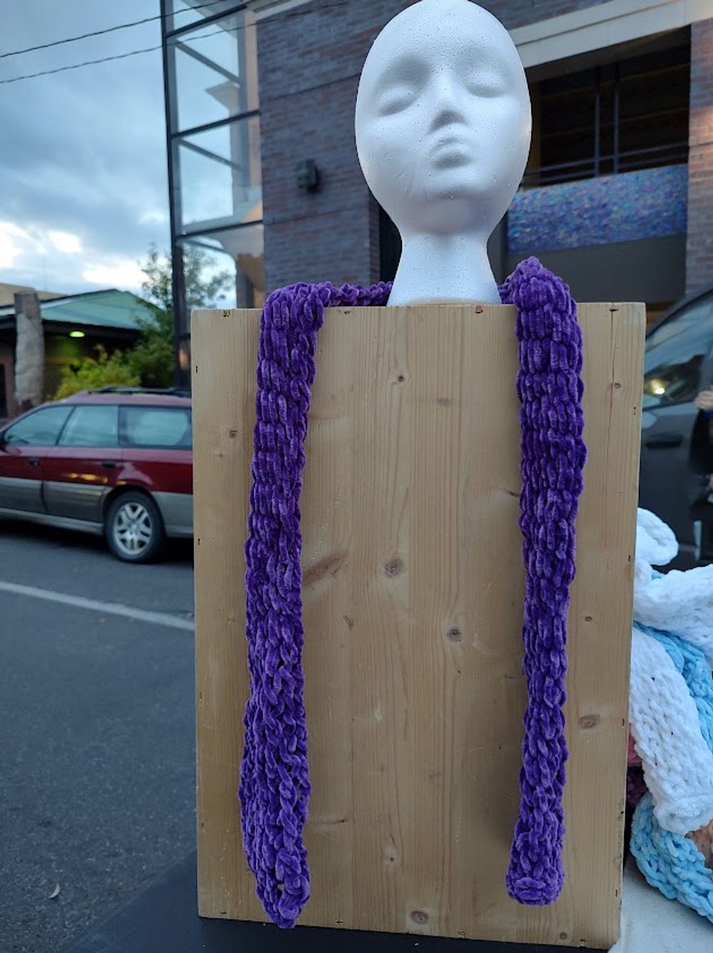 The Royal Velvet Scarf