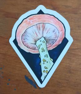 Wrinkled Peach Mushroom Sticker
