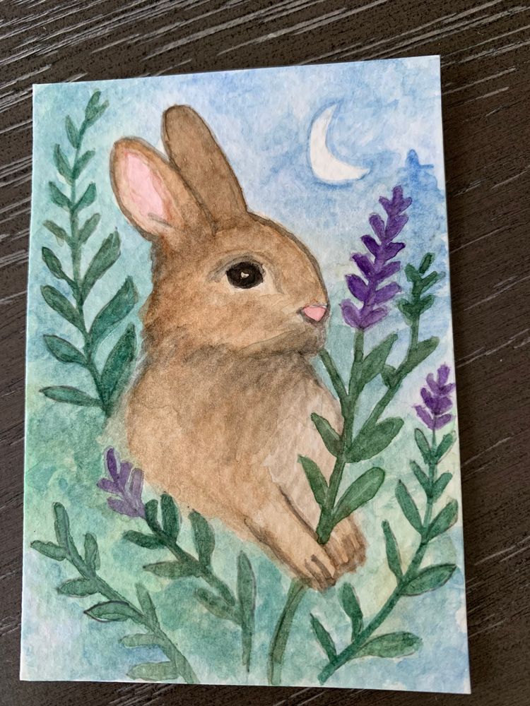 Hearth the Rabbit 