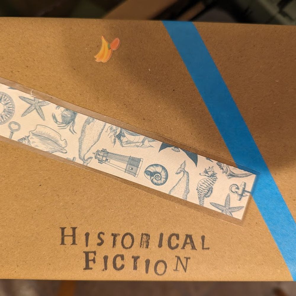 Mystery Book - Children's Historical Fiction (TotC)