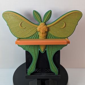A small 3D printed shelf in the shape of a Luna Moth. It is a pinkish-purplish hue, and the shelf across the front is orange.