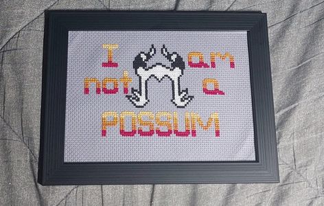 I Am Not a Possum