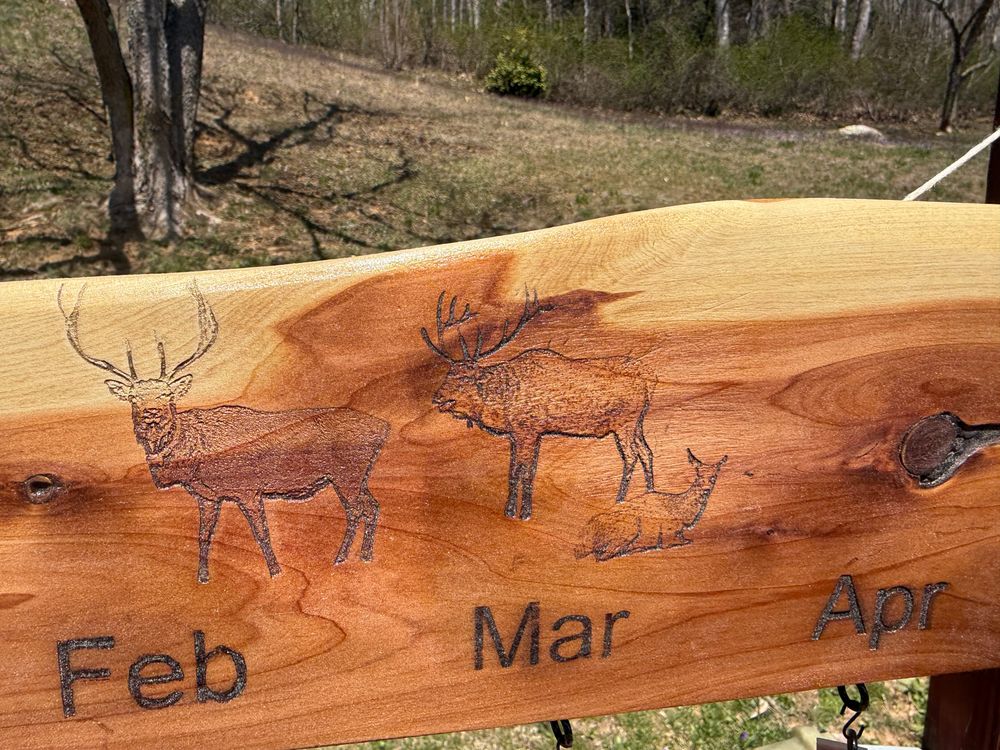 Cataloochee birthday/anniversary 