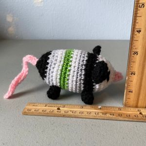 Opossum size