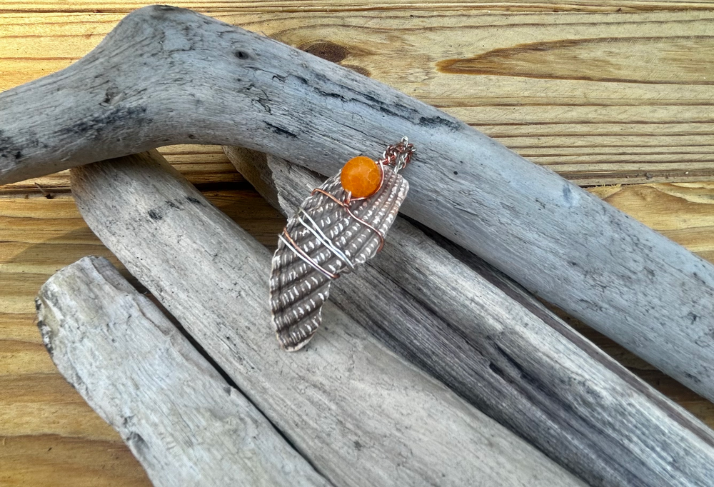 Scallop Brown Sea Shell with Orange Agate