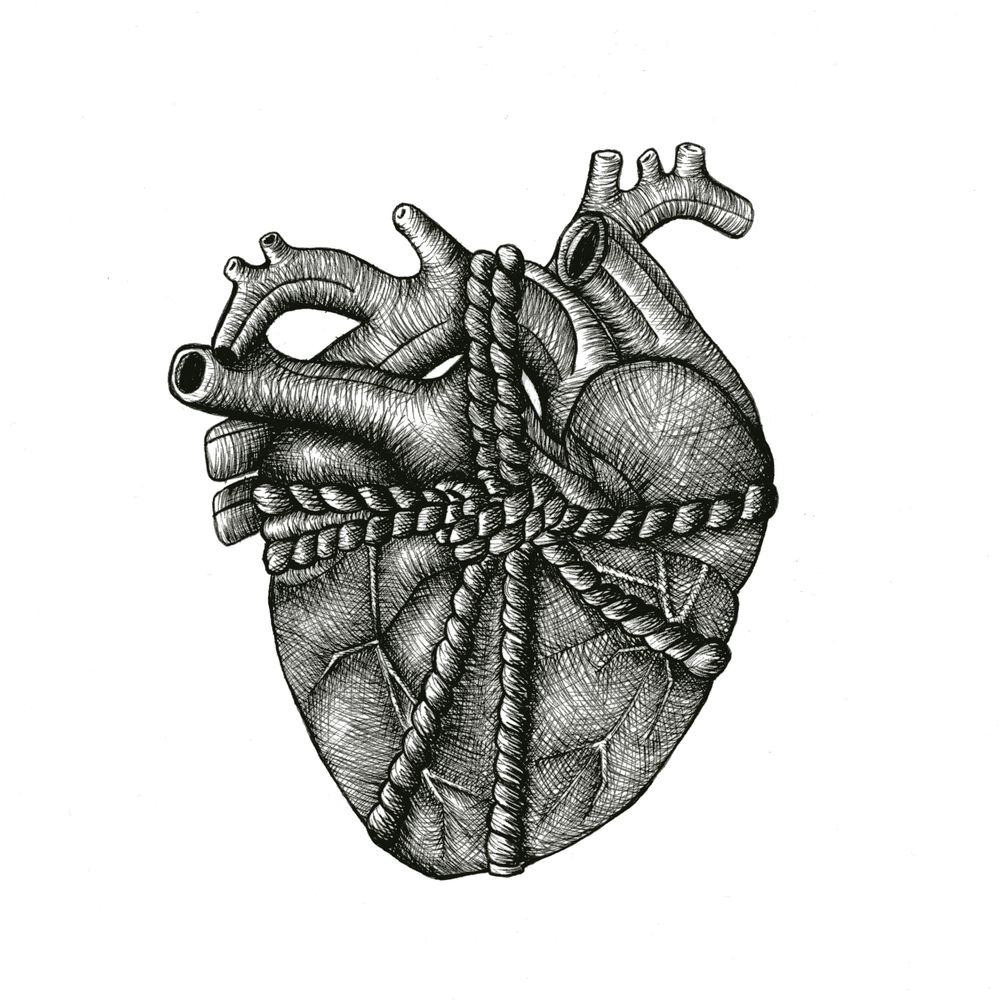 All Tied Up / Anatomical Heart Art Print 6x6"