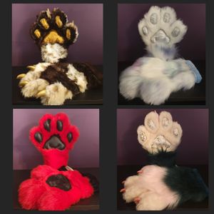Example Paws 