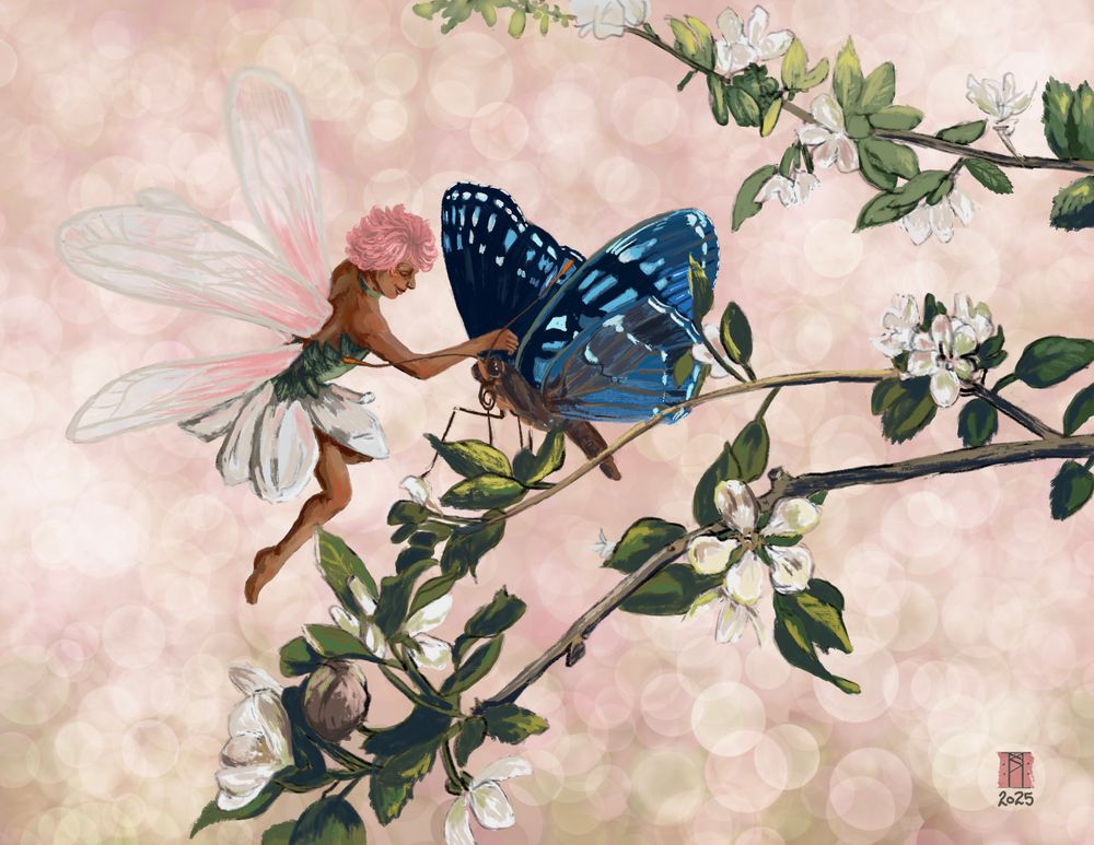 Apple Blossom Fairy