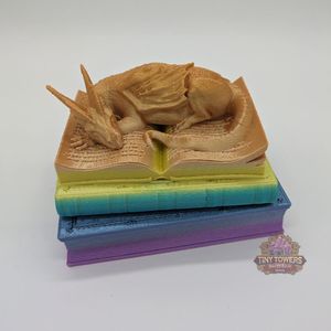 Eepy dragon on some books.