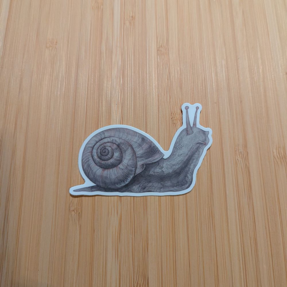 Snail Sticker